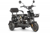 Электротрицикл Wanshida UN MOTO 60V 650Вт